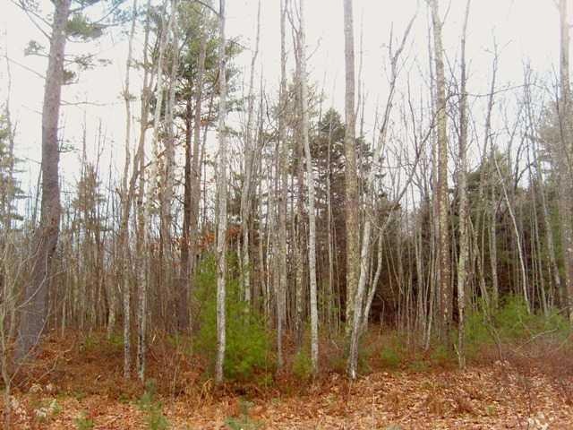 Land/Lot.