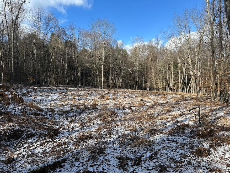 0 3rd St, Burnside, PA 15724 - photo 1