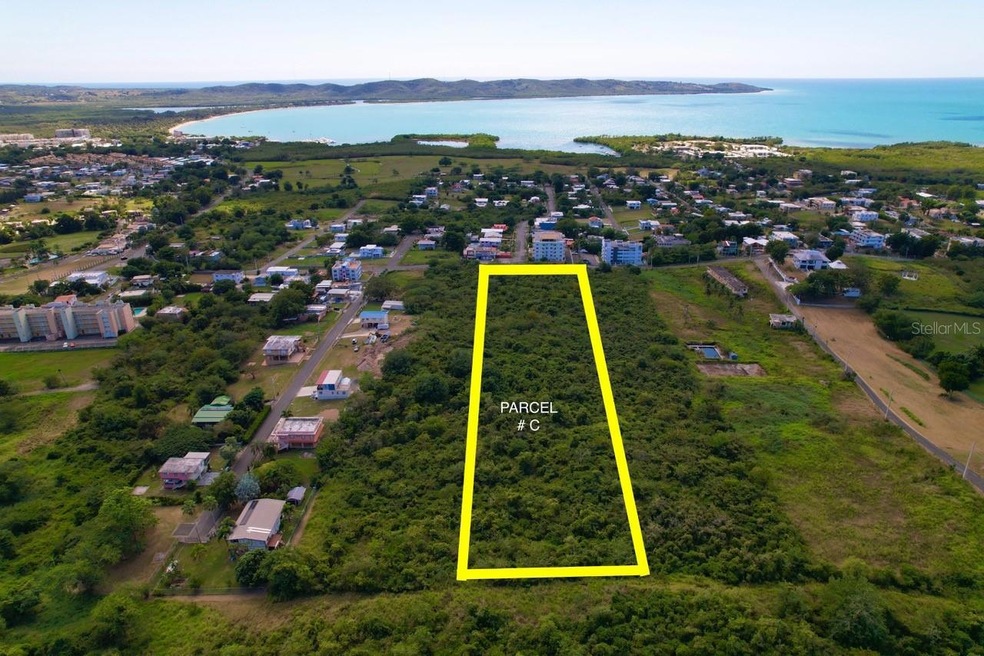 SR-307 KM 7.6 Pedernales Ward Lot 2 unit (D), Cabo Rojo, PR 00623 - photo 1