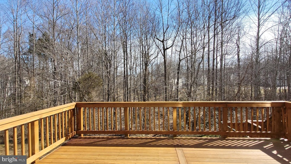 15595 Three Otters Place, Manassas, VA 20112 - photo 1