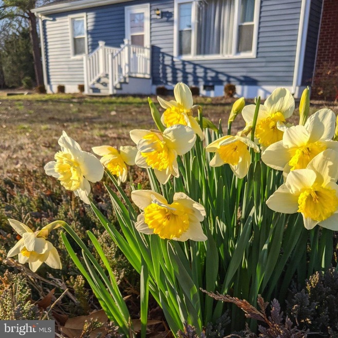 16437 Forrest Rd, King George, VA 22485 - photo 1