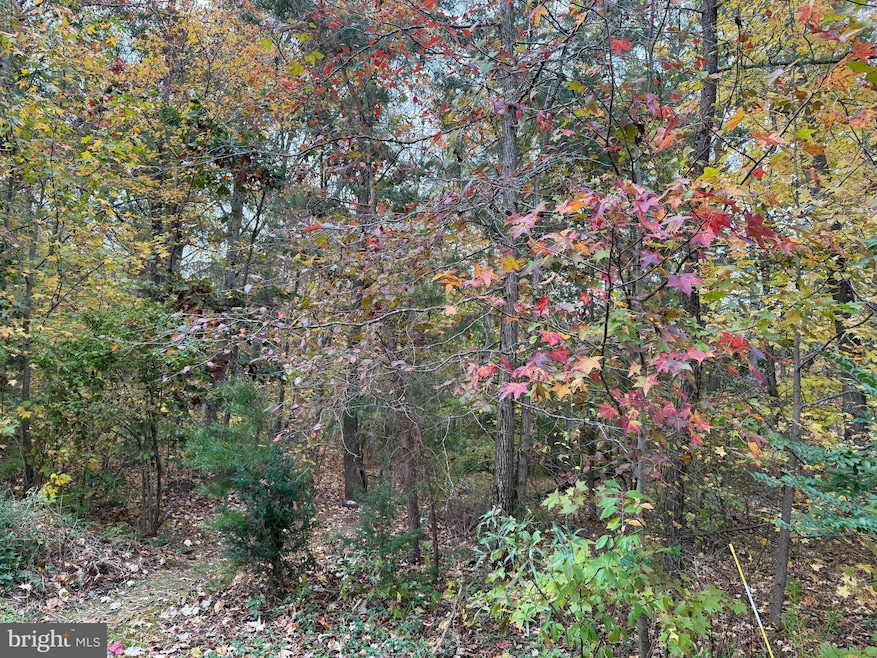 5162 Cedarlea Dr, West River, MD 20778 - photo 1