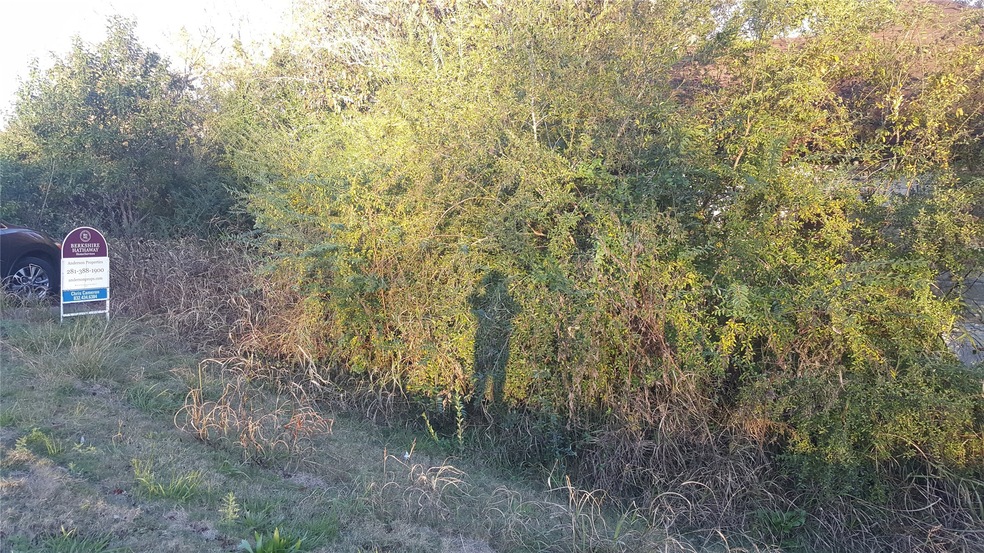 1414 Bunyard Rd, Alvin, TX 77511 - photo 1