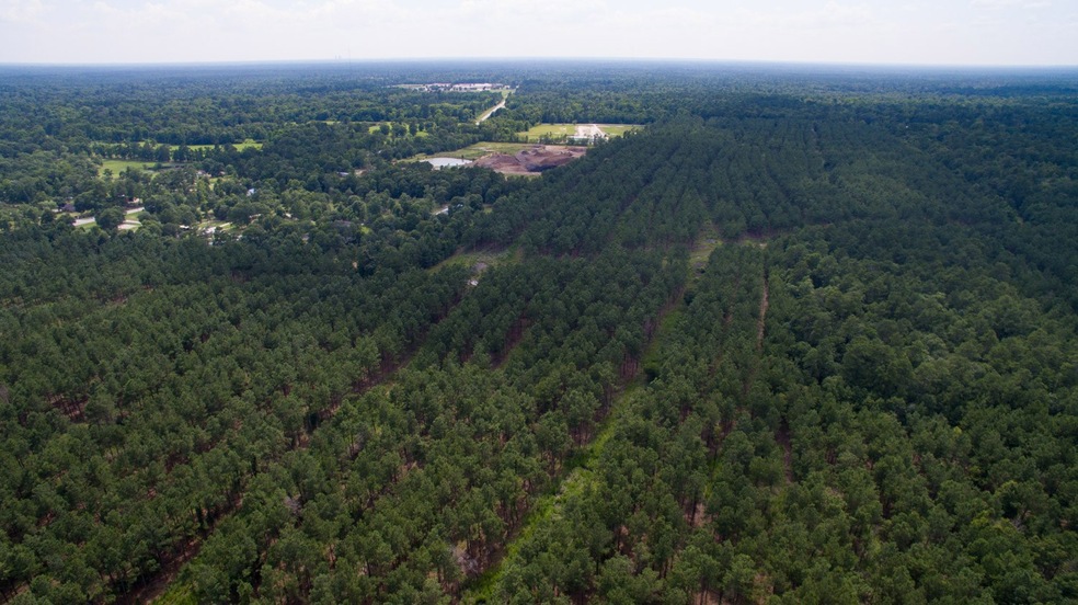 0 Daw Collins Rd, Cleveland, TX 77328 - photo 1