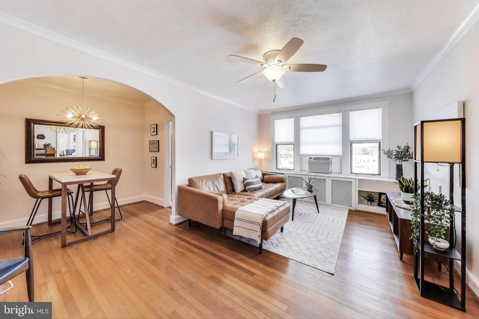 1365 Kennedy St NW unit 506, Washington, DC 20011 - photo 1