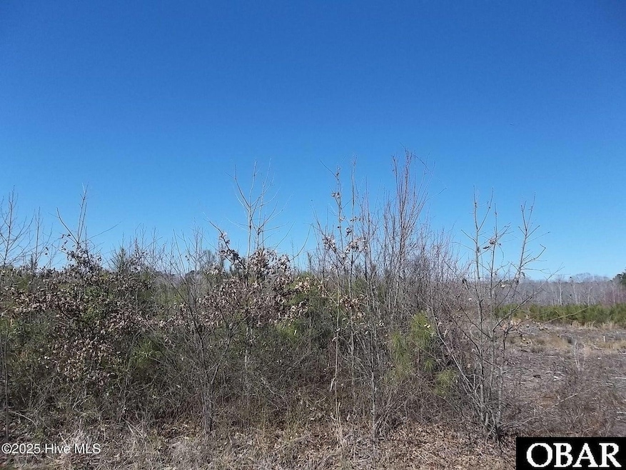 TBD Boat Ramp Rd unit Lot 1, Hertford, NC 27944 - photo 1