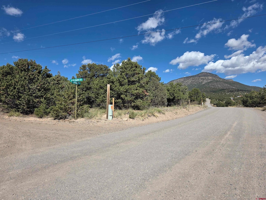 555 Arapaho Rd, South Fork, CO 81154 - photo 1