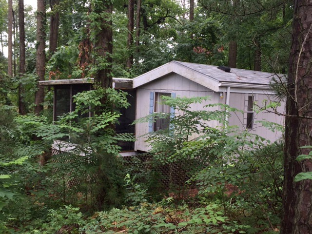 Main View
