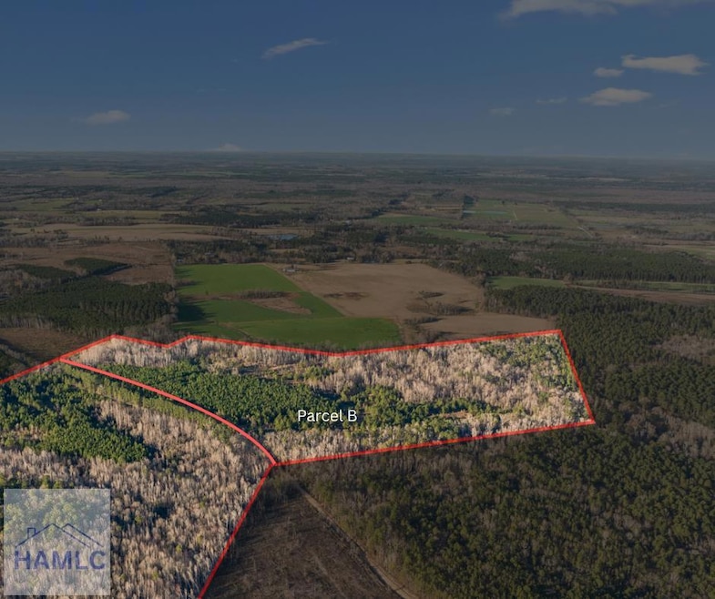 0 Thomas Rd unit 163843, Millen, GA 30442 - photo 1