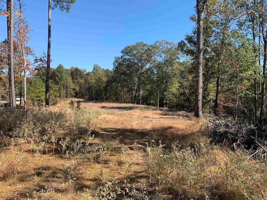 5086 Oklahoma Inn Rd, Tull, AR 72015 - photo 1