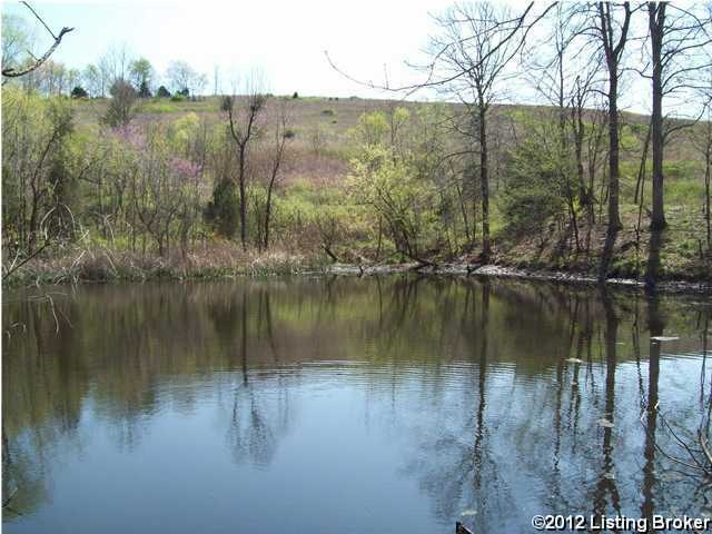 Primary Photo