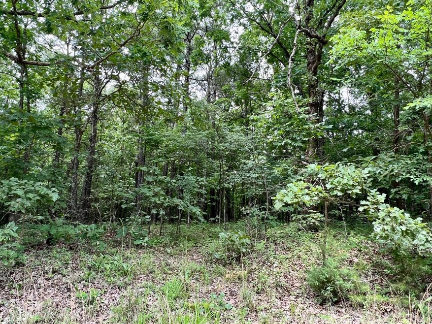 7 Greene 609 Rd, Paragould, AR 72450 - photo 1