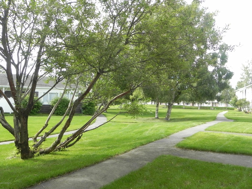 Mount Vernon Commons Grounds