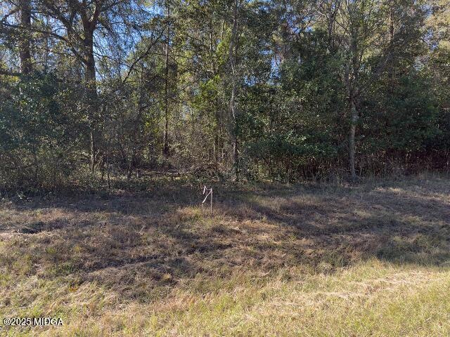 4255 Training School Rd, Macon, GA 31217 - photo 1