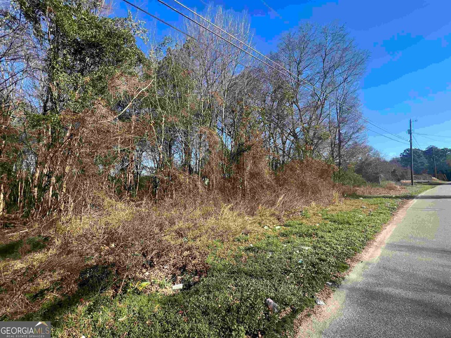 0 Mill St unit 20171622, Elberton, GA 30635 - photo 1