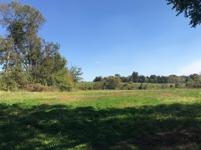 Tract 1 Franks Ferry Rd, Sparta, TN 38583 - photo 1