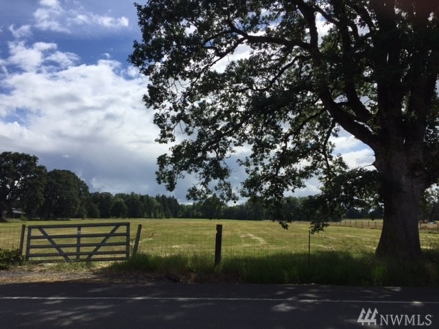 0 Jackson Hwy unit 1002684, Toledo, WA 98591 - photo 1