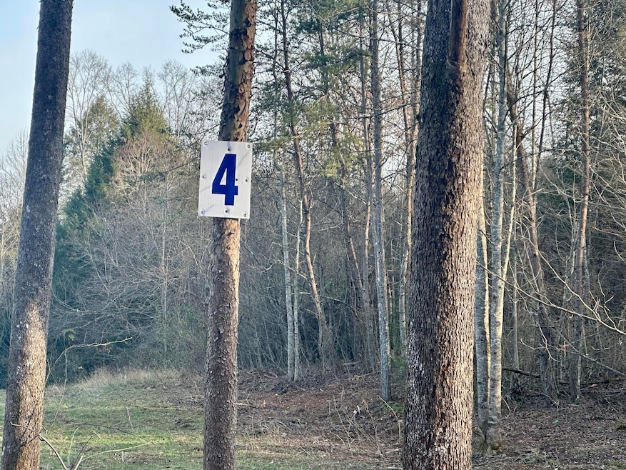 Lot 4 Radford Rd, East Bernstadt, KY 40729 - photo 1