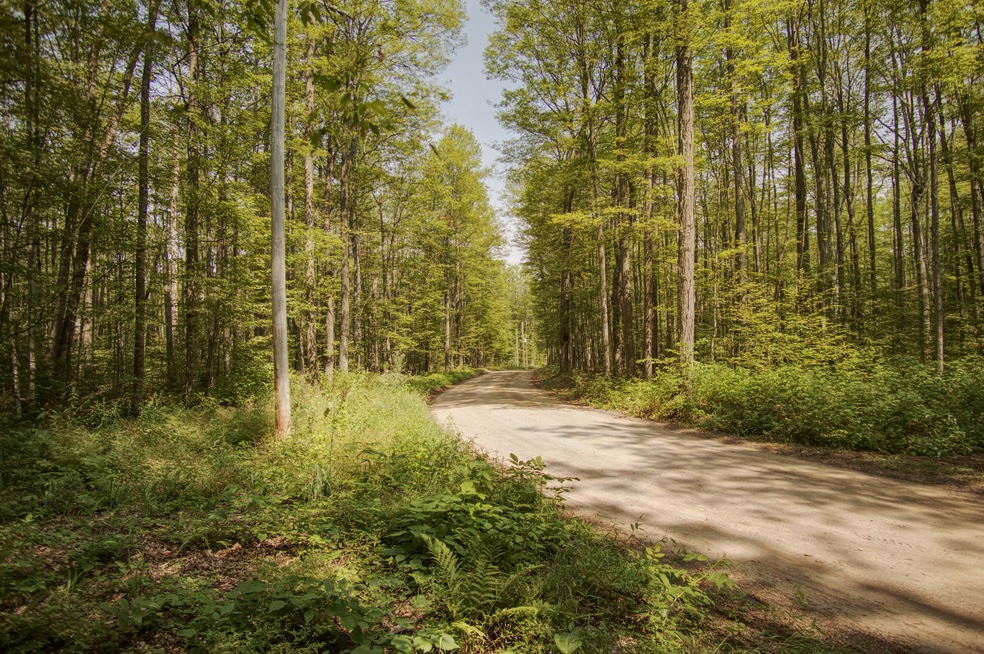 0 White Ash Trail unit 315689, Vanderbilt, MI 49795 - photo 1