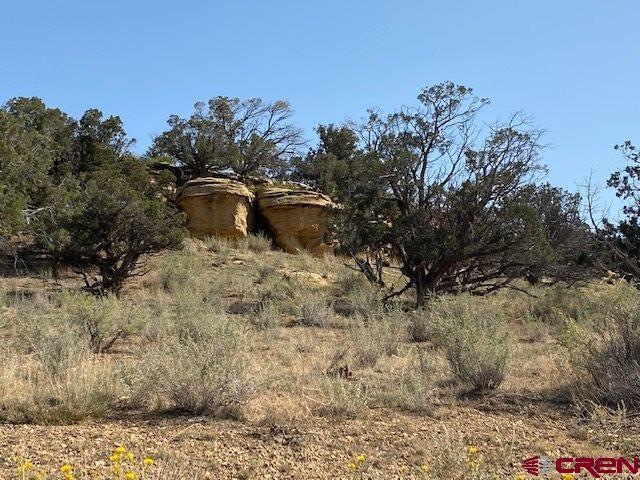 TBD U S 160, Cortez, CO 81321 - photo 1