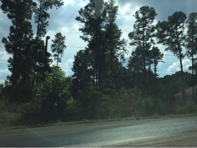 2011 Durst St, Nacogdoches, TX 75964 - photo 1