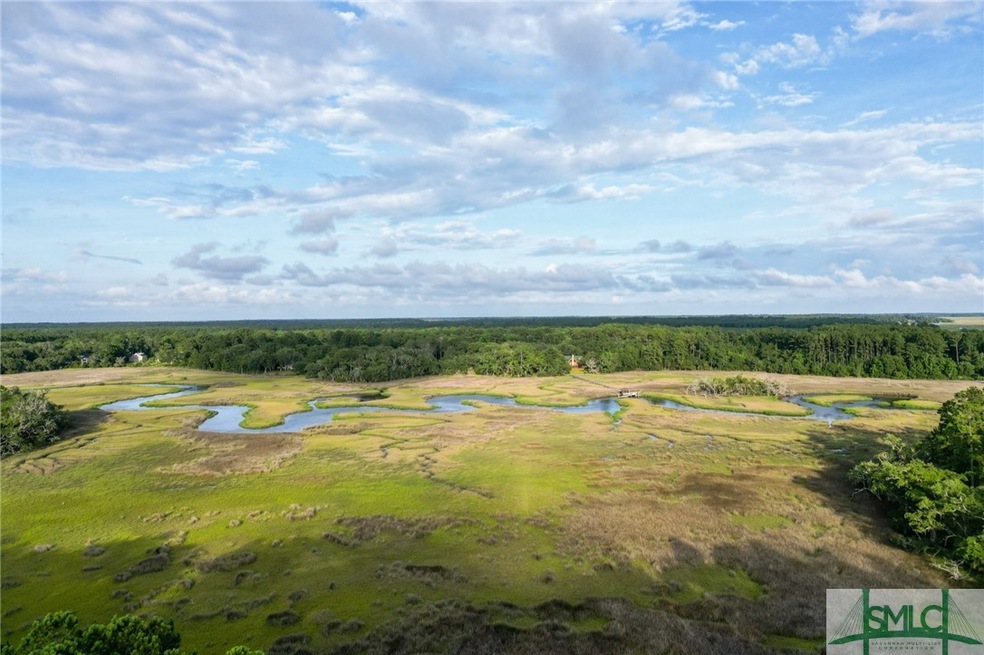Aerial view from above Lot 11.
