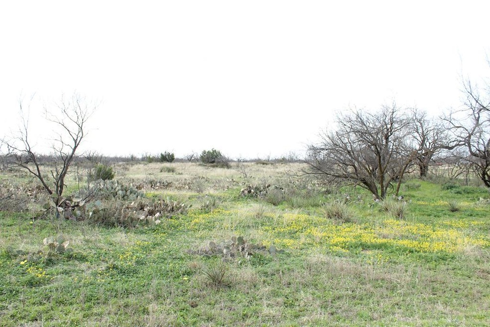 11368 Dove Creek Ln E, San Angelo, TX 76904 - photo 1
