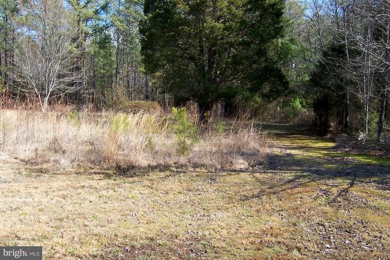 1 Jefferson Davis Hwy, Ruther Glen, VA 22546 - photo 1