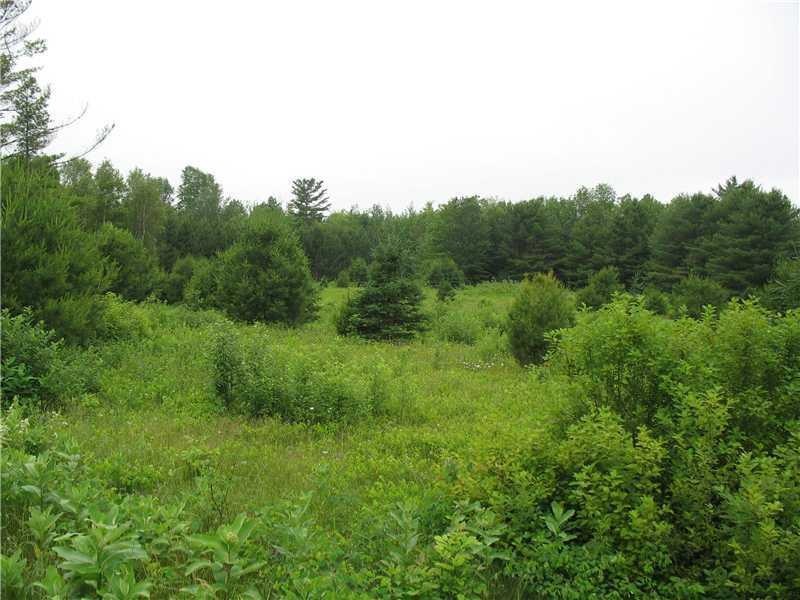 0 Starbird Siding Rd unit 1099842, Dover-Foxcroft, ME 04426 - photo 1