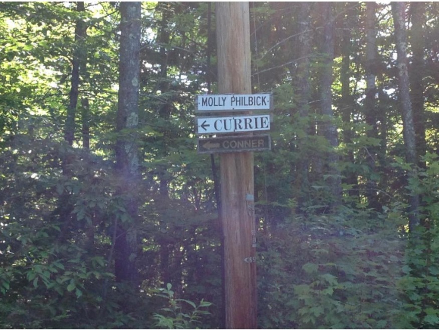 0 Molly Philbrick Rd unit 4440003, Effingham, NH 03882 - photo 1