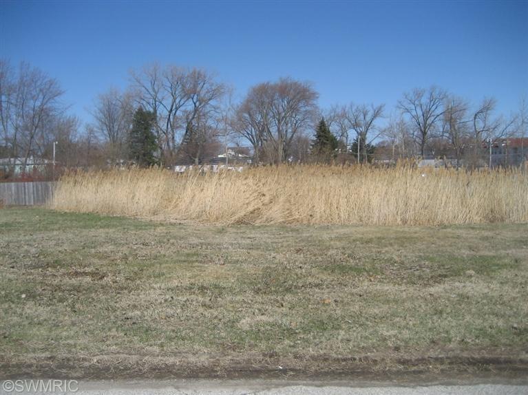 Primary Photo