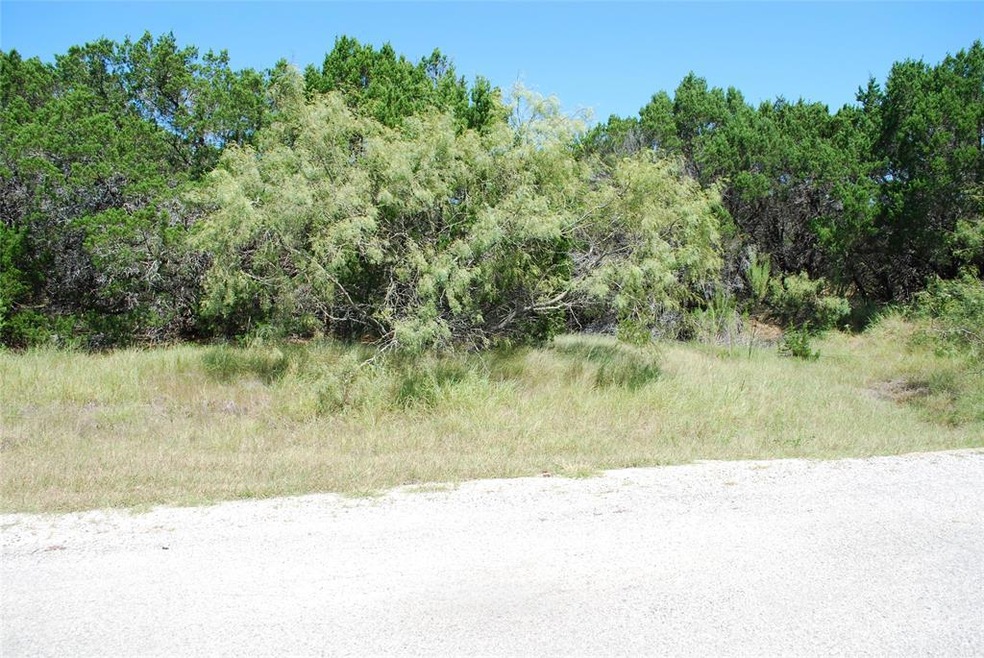 18112 Forrest Dr, Whitney, TX 76692 - photo 1