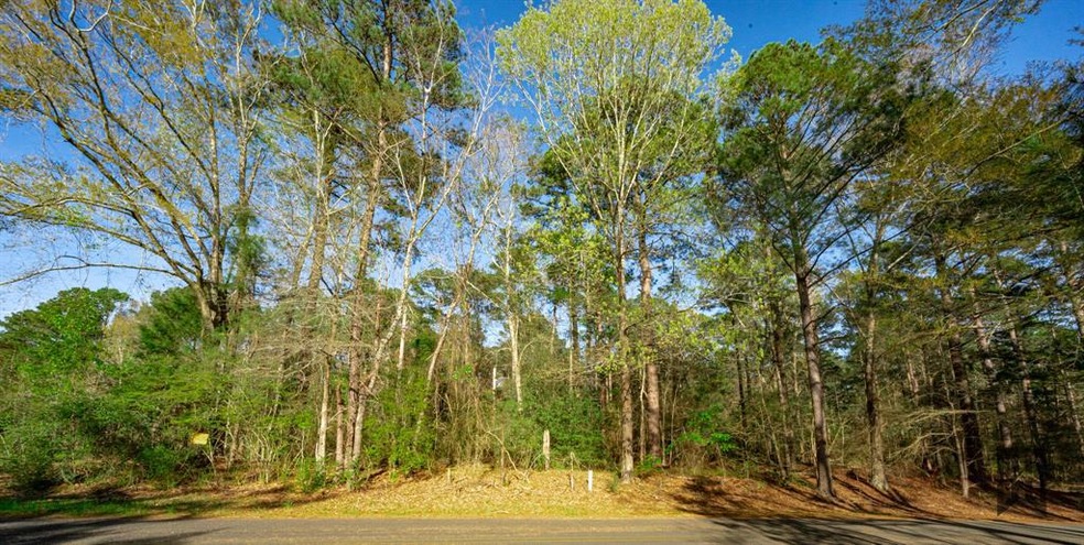 Tract A Road Frontage