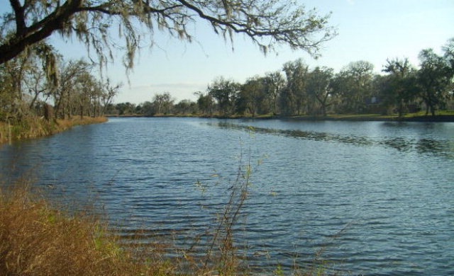 0 Cr 461a, Brazoria, TX 77422 - photo 1