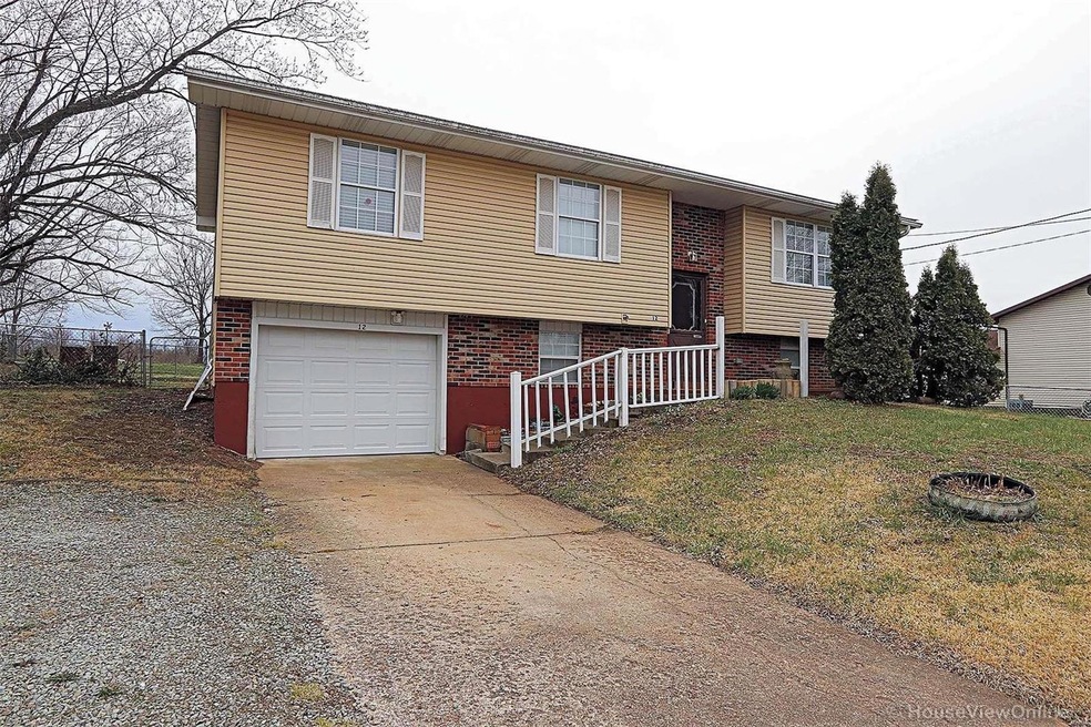 12 Aldergate St, Farmington, MO 63640 - photo 1