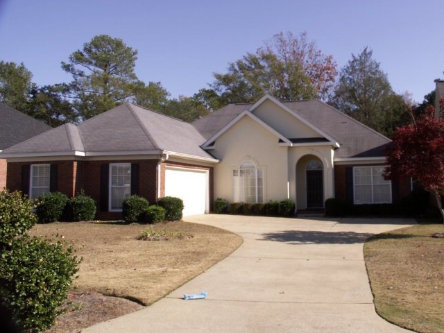 Main View