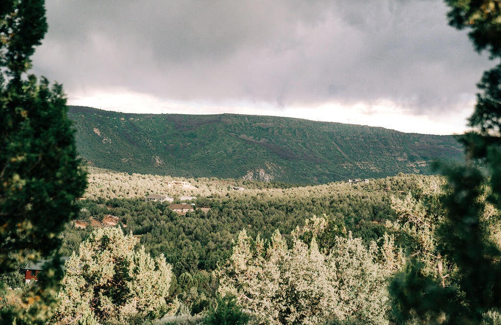 DSC00665