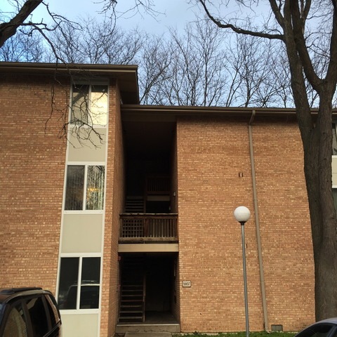 5807 Oakwood Dr unit F, Lisle, IL 60532 - photo 1