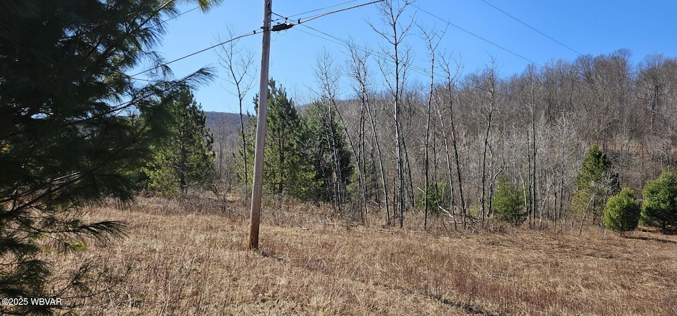 taken near Schaeffer Lane