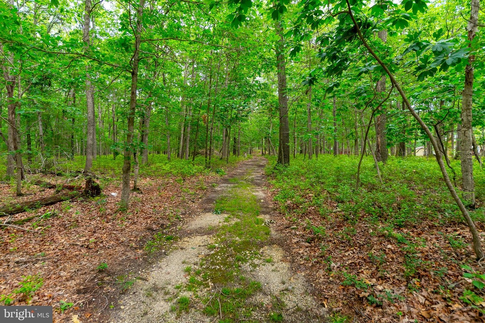 0 L:23 Whitehall Rd, Newfield, NJ 08344 - photo 1