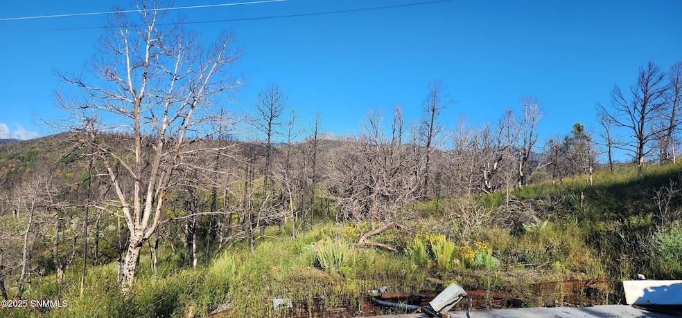 Pending $29,000 • Co-Listing Agent