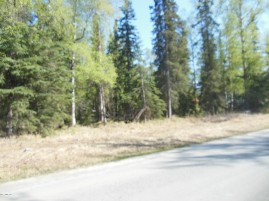 DSCN2161