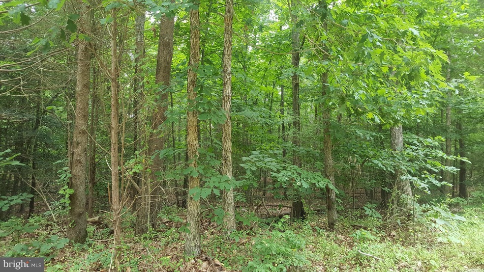 11821 Burgess Ln, Fredericksburg, VA 22407 - photo 1