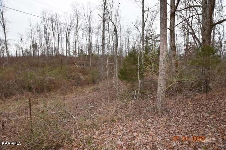lot 4