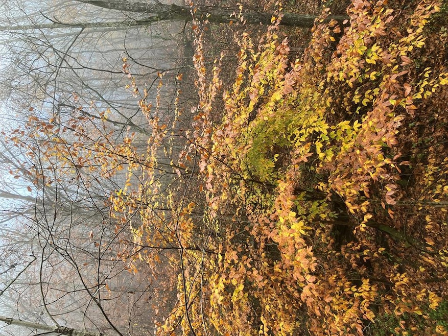 00 Hunter Branch Rd, Garrett, KY 41630 - photo 1