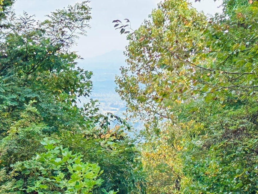 TBD Morning Side Trail, Fancy Gap, VA 24328 - photo 1