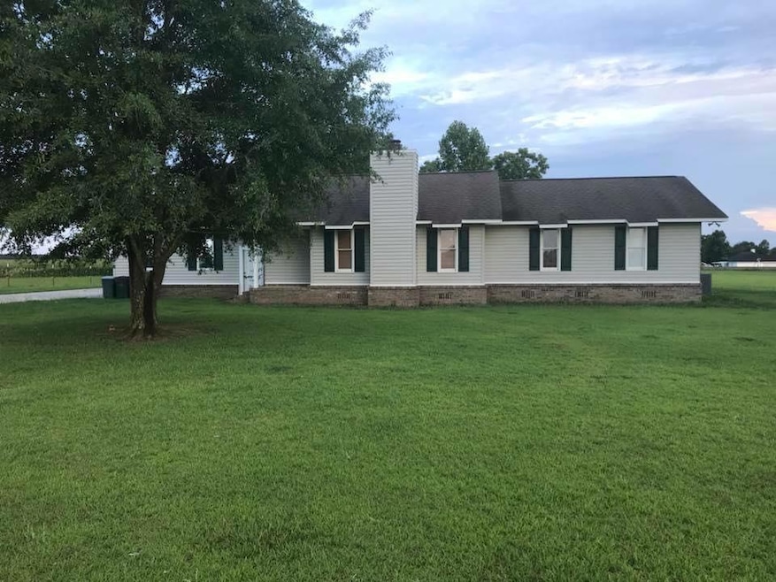 3208 State Highway 134 E, Headland, AL 36345 - photo 1