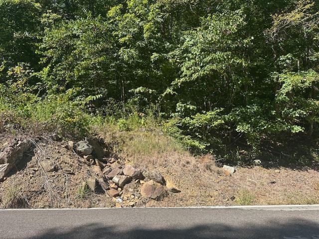 For Sale $49,000 • Co-Listing Agent