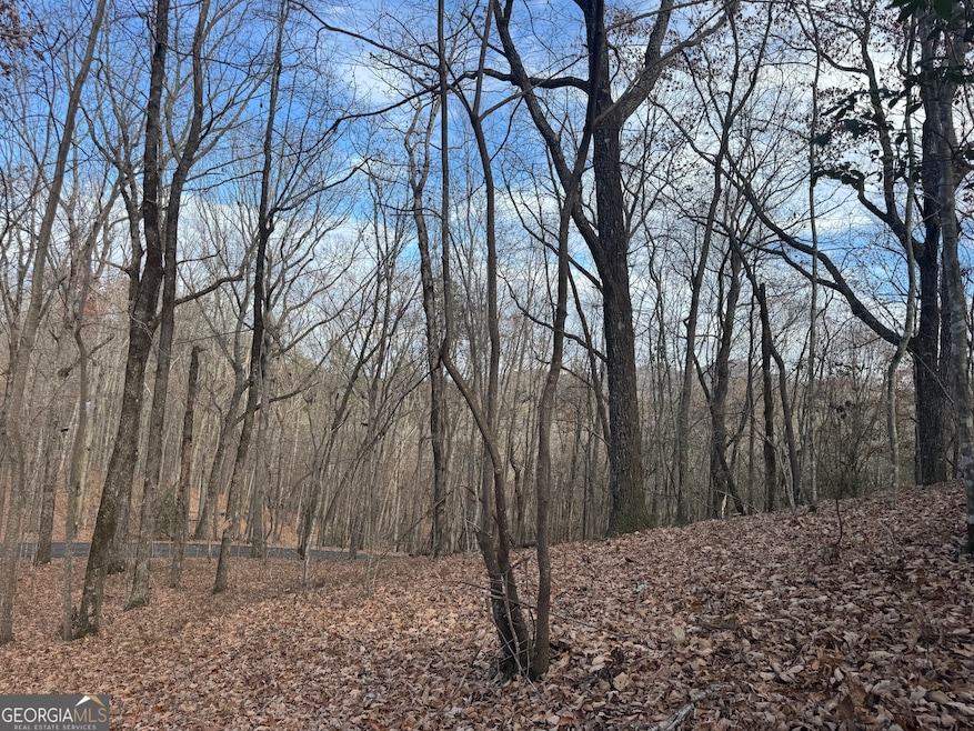 0 Geneva Place unit 10648174, Sautee Nacoochee, GA 30571 - photo 1