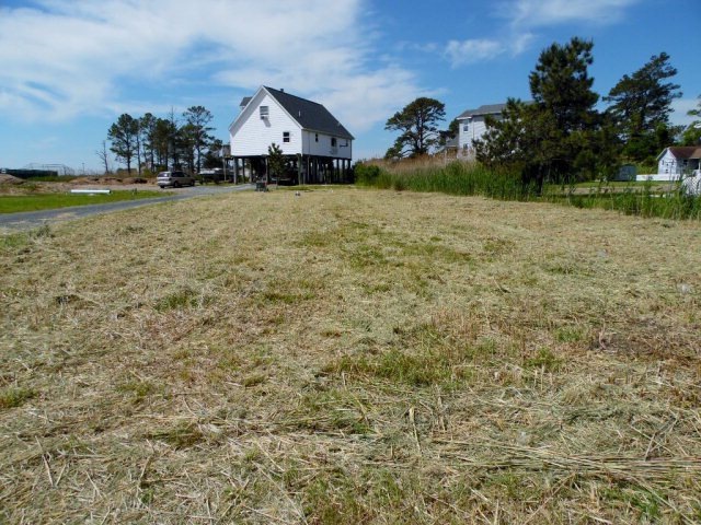 Main View